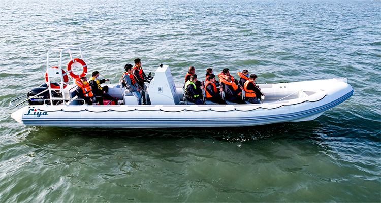 10 meter aluminum rib boat (2)