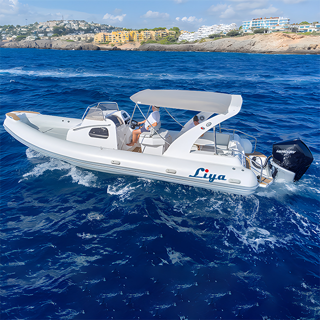 Bateau pneumatique à coque rigide de 27 pieds