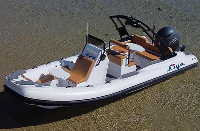  Liya bateau nouveau RIB de luxe de 22 pieds/6,6 mètres 