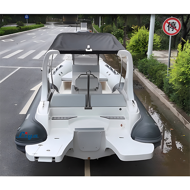 Liya bateau RIB de vitesse de 20pieds/6,2M 