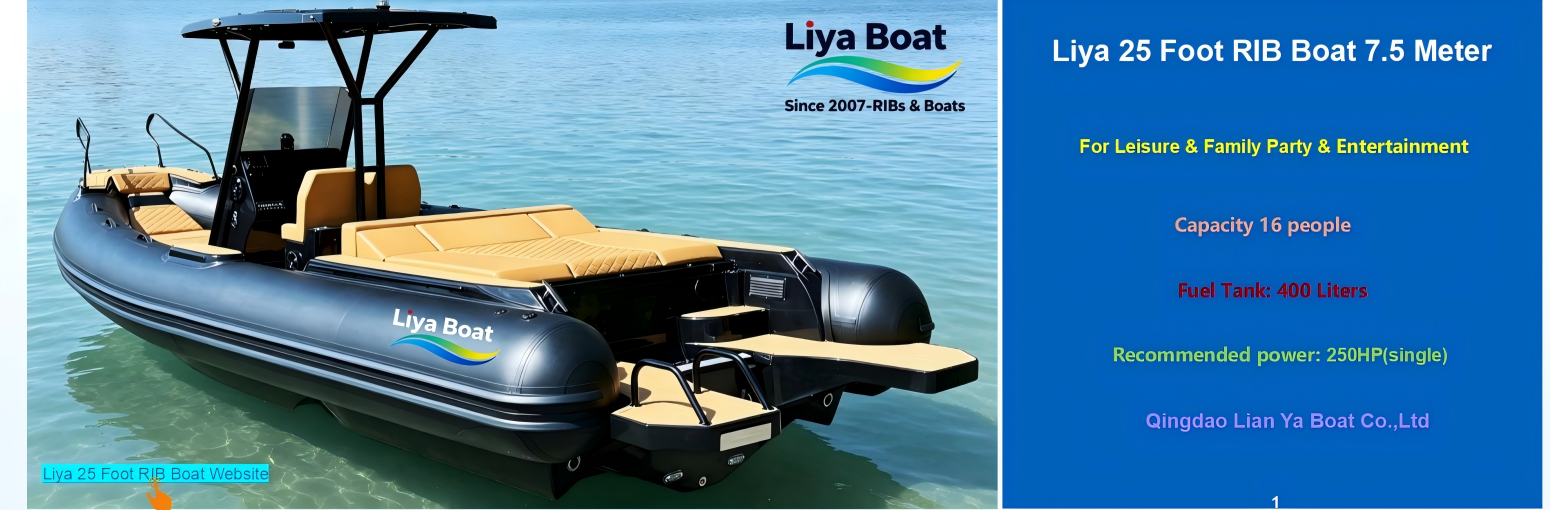 Bateau pneumatique de luxe de 25 pieds à vendre