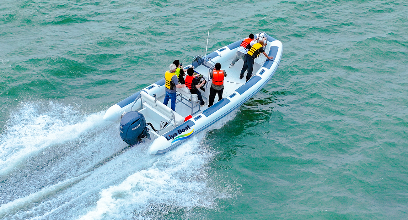 Annexe et bateau de travail Liya en aluminium RIB de 7 m 23 pieds | Double console | 14 personnes