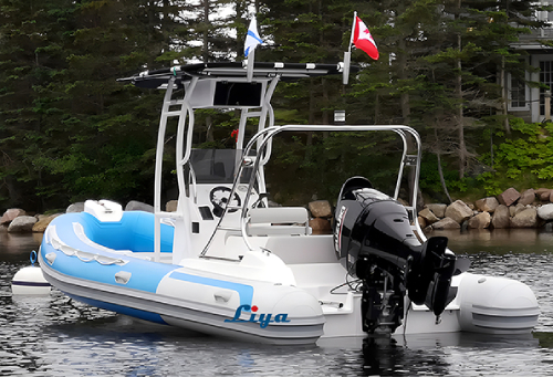 Bateau RIB Liya de 6,2 m - Idéal pour les loisirs et le divertissement