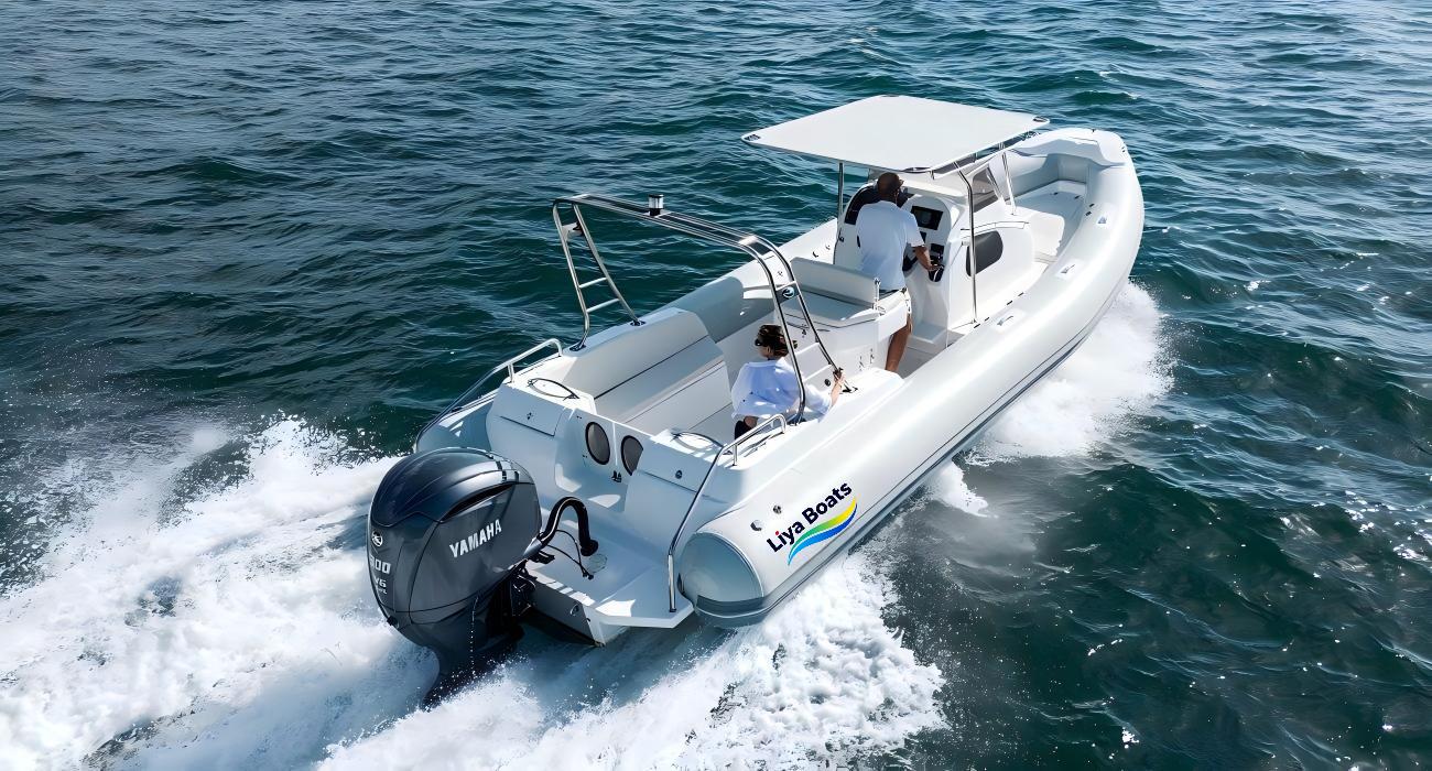 Bateau RIB à cabine de luxe Liya 27FT à vendre | Coque à marches de 8,3 m, prête pour la famille et la location