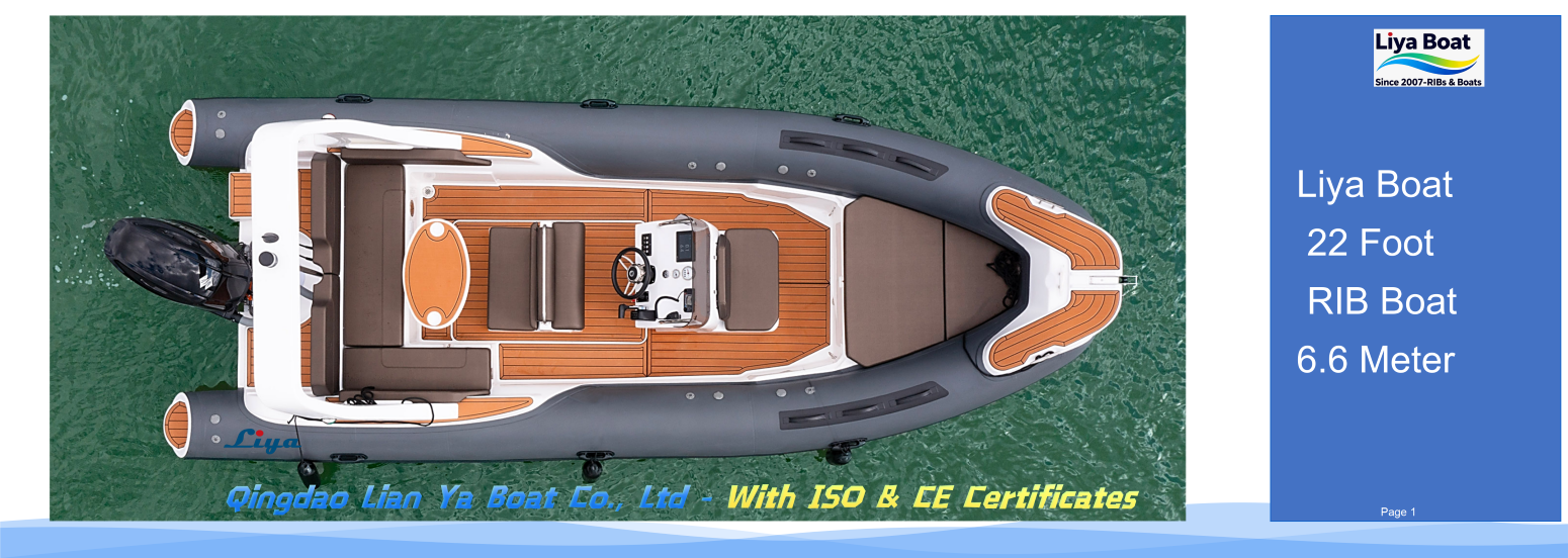 Bateau semi-rigide classique Liya 6,6 m 22 pieds d'une capacité de 12 personnes