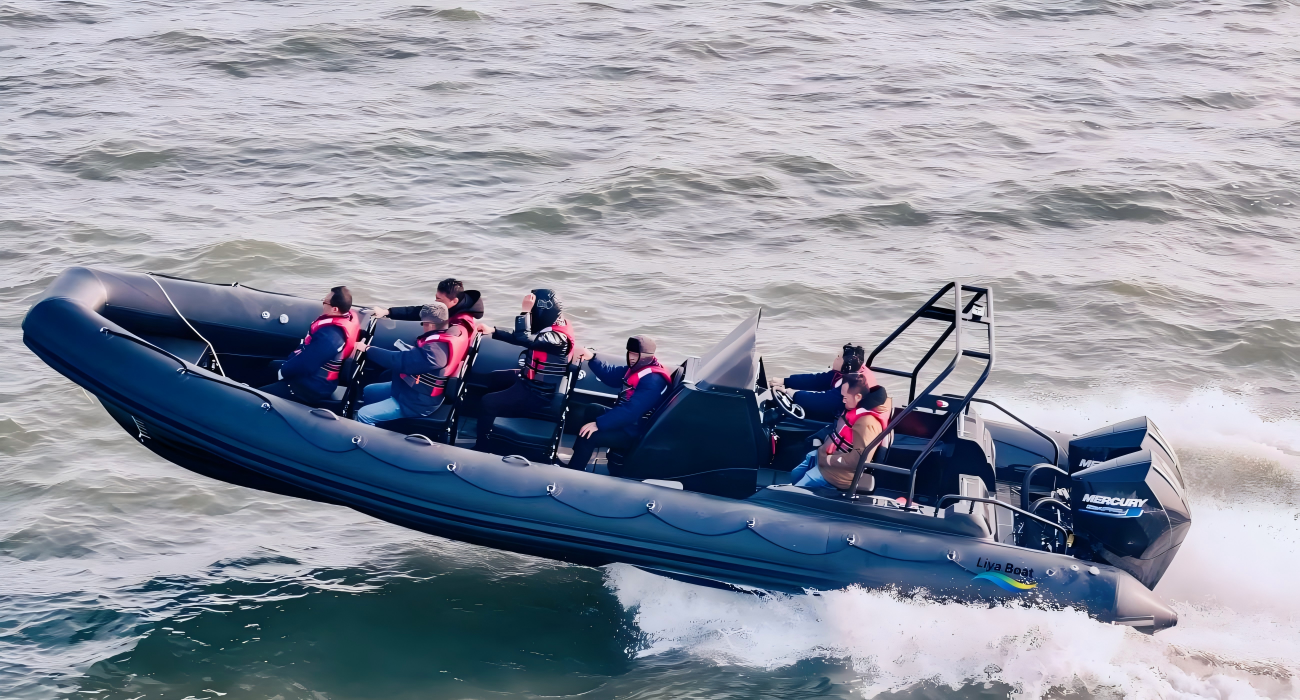 Bateau de patrouille professionnel robuste de 8,3 m | R&eacute;ponse rapide, 12 personnes, certifi&eacute; CE