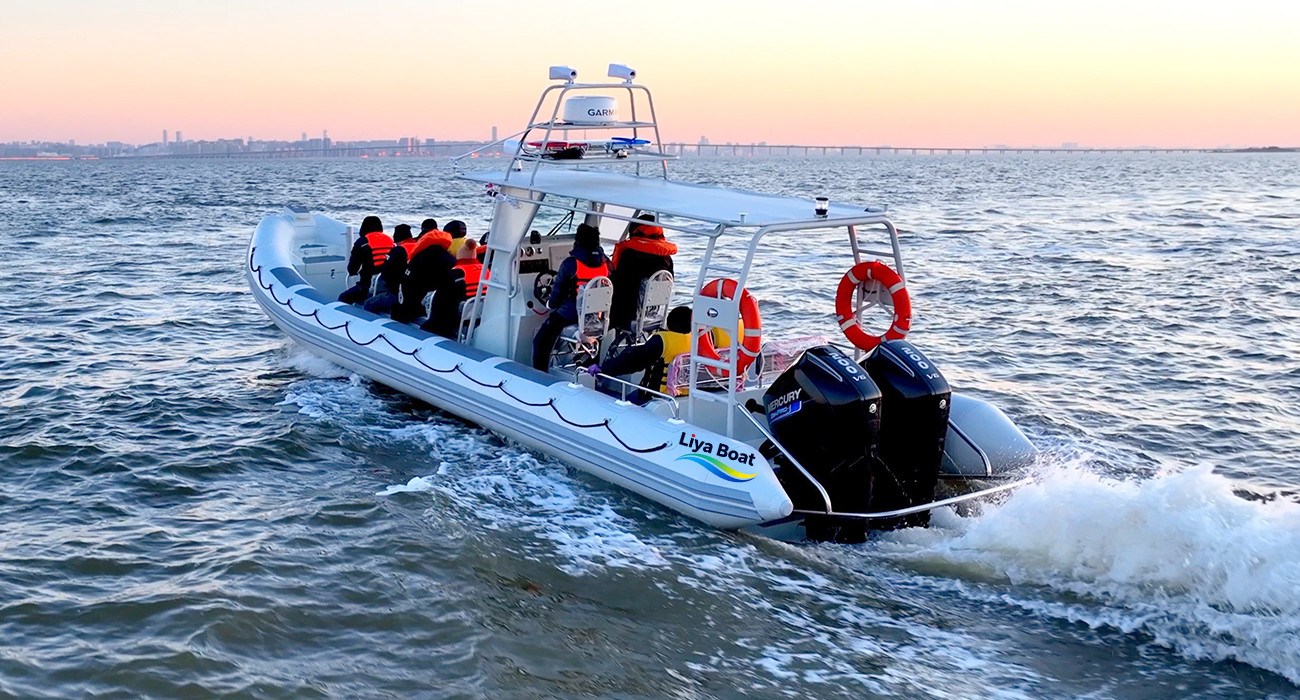 Bateau RIB de patrouille en aluminium Liya de 34 pieds, grande vitesse, 14 personnes, certifié CE B&C