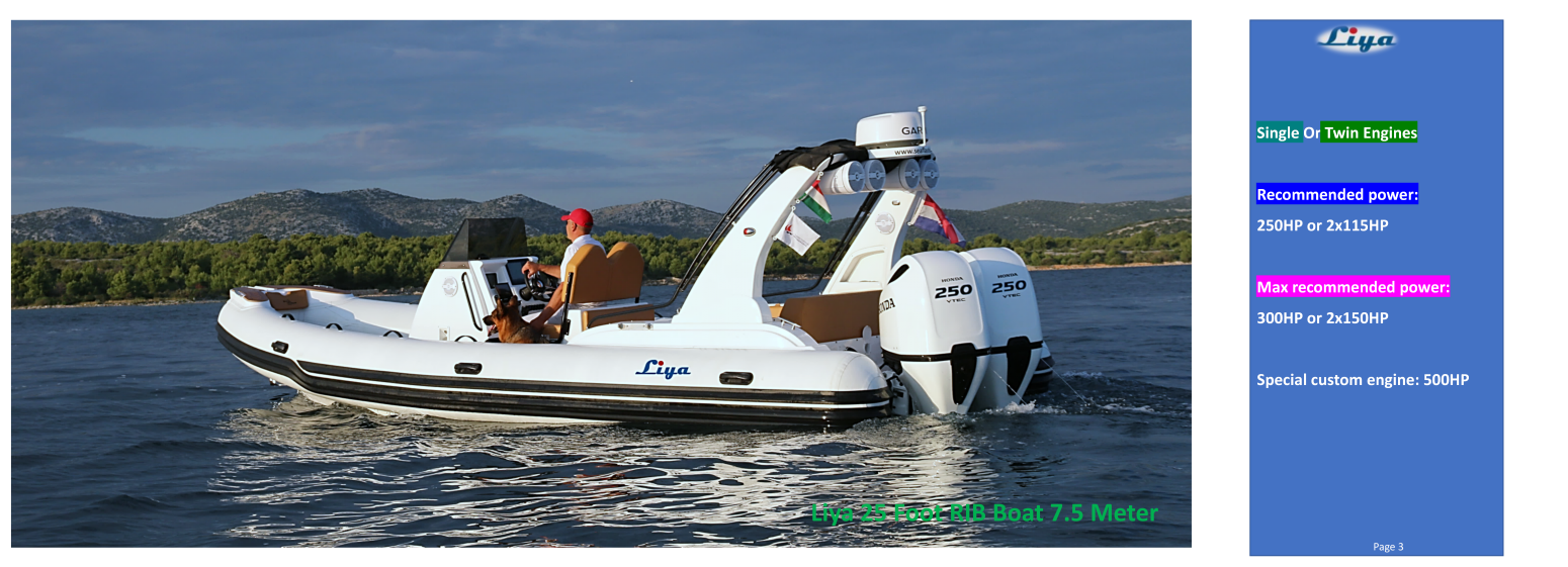 Bateau pneumatique semi-rigide Liya 25 pieds à vendre