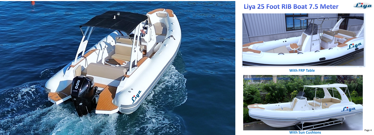 Liya 25 Foot RIB Bot avec table et coussin