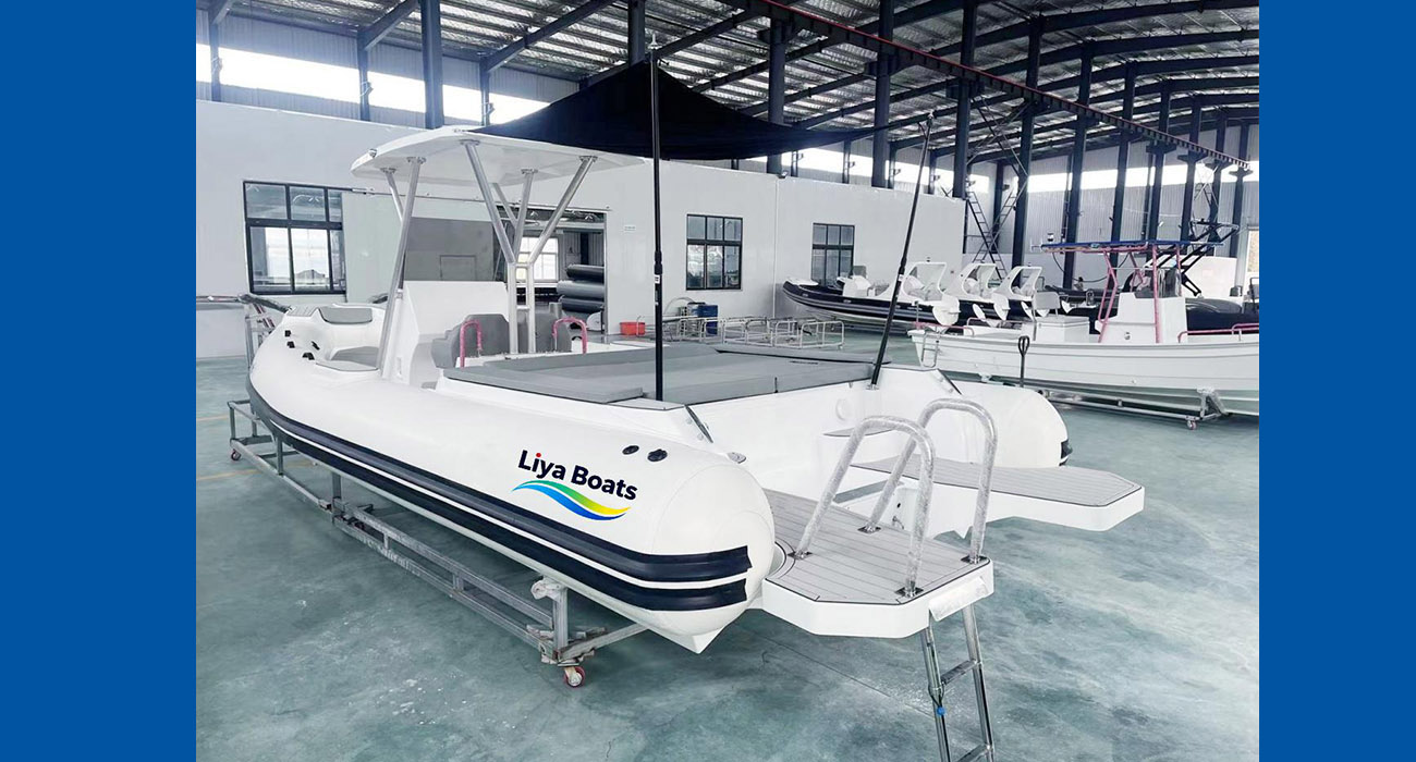 Bateau RlB de luxe de style italien Liya de 25 pieds avec grand transat certifié CE pour 16 personnes