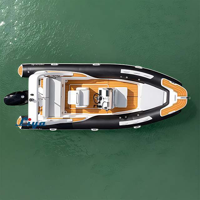 Bateaux pneumatiques rigides de luxe de 19 pieds