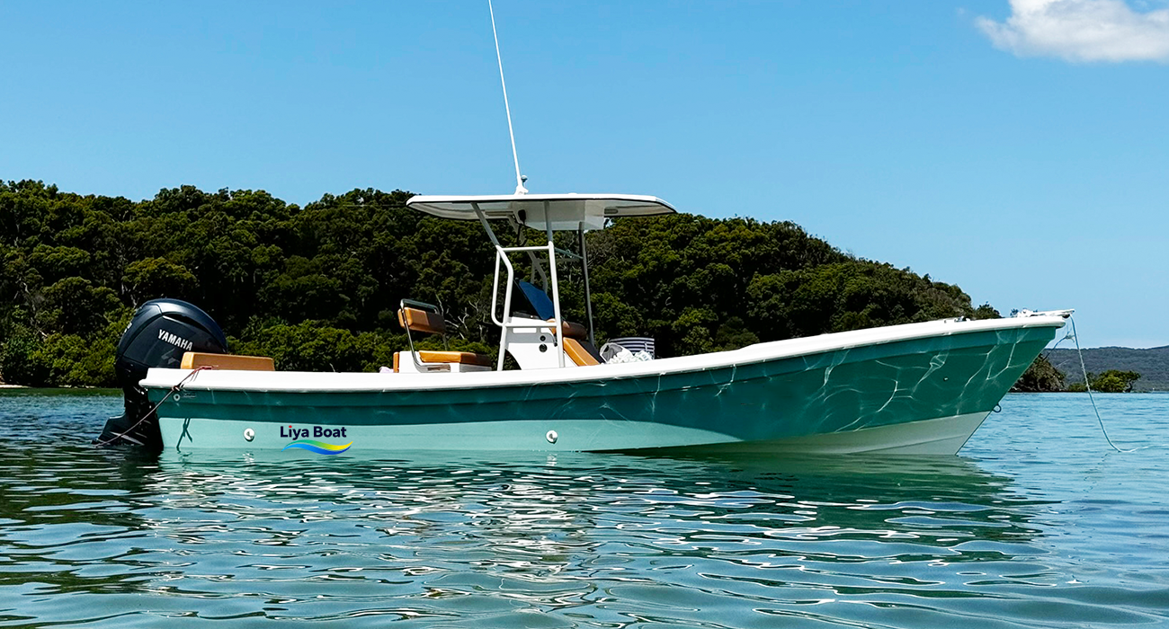 Bateau Panga en fibre de verre de 7,6 m (25 pieds) à vendre | Navire de pêche et de loisirs Deep-V pour 10 personnes