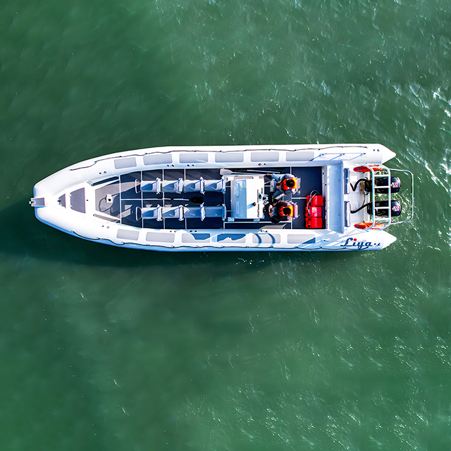 Bateau semi-rigide en aluminium de 33 pieds