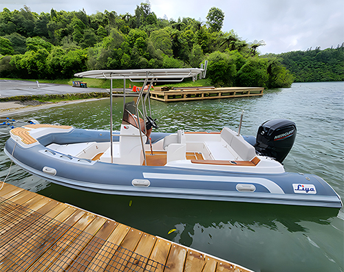 Les six facteurs clés derrière la faveur du marché acquise par le Liya Classic 22 pieds RIB
