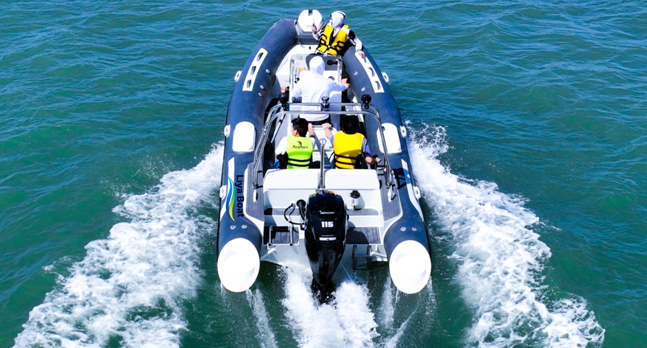 Bateau d'appel d'offres de luxe à coque en aluminium Liya de 19 pieds | Réservoir de carburant 150L | Certifié CE