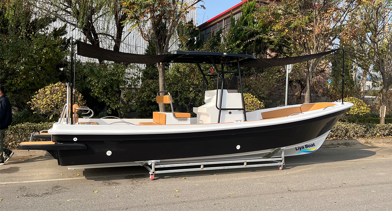 Liya Bateau Panga professionnel de 7,6 m (25 pieds) pour la pêche et les loisirs | Deep-V, 10 personnes