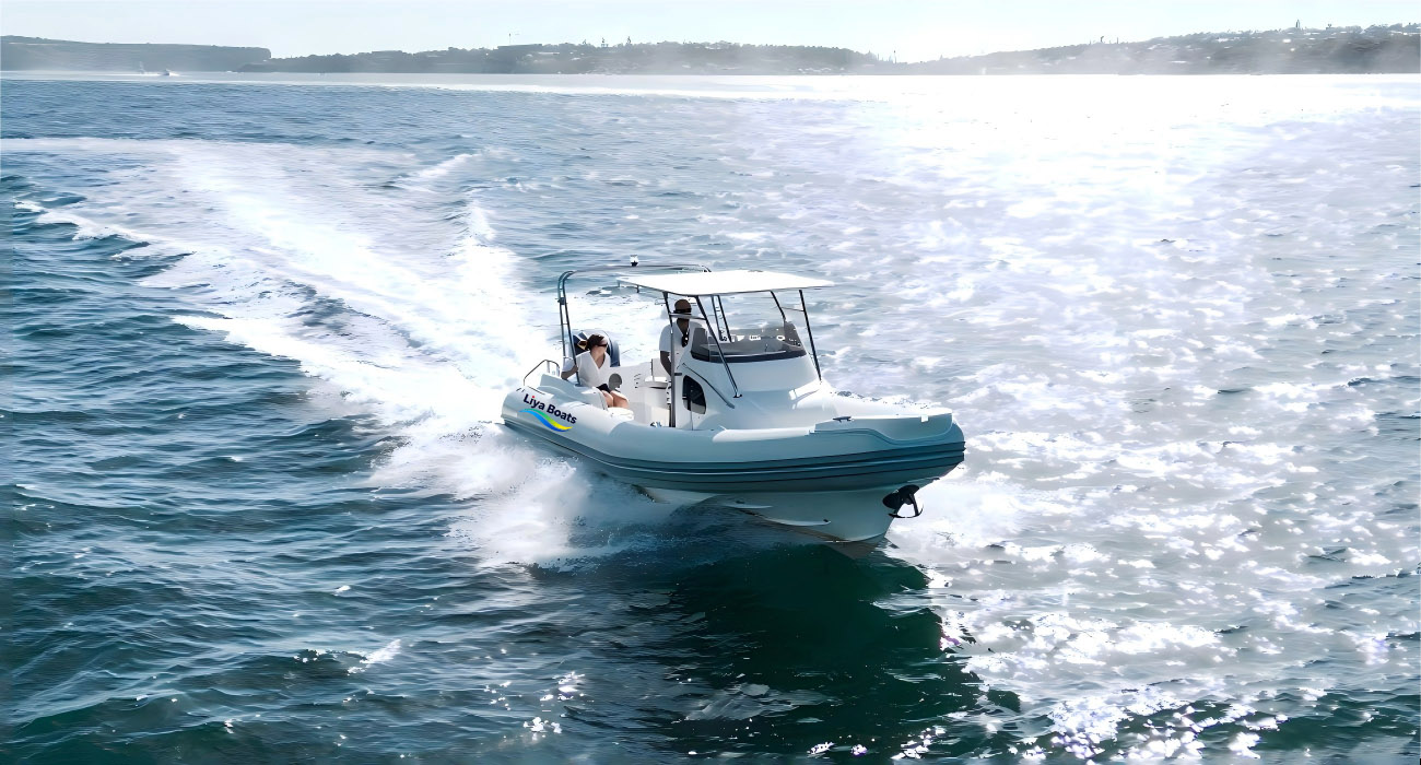 Bateau RIB à cabine de luxe Liya 27FT à vendre | Coque à marches de 8,3 m, prête pour la famille et la location