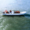 Liya bateau de patrouille en aluminium de 9 à 10 mètres 