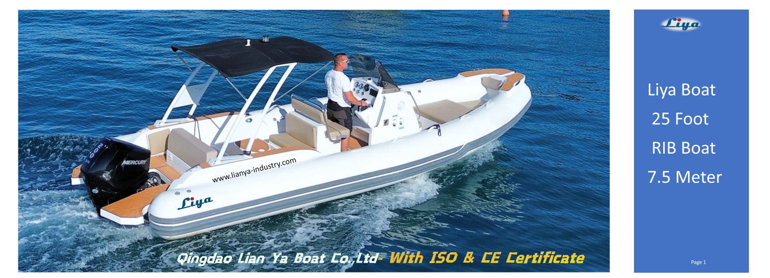 BATEAU RIB de 25 pieds Liya AVEC Moteur