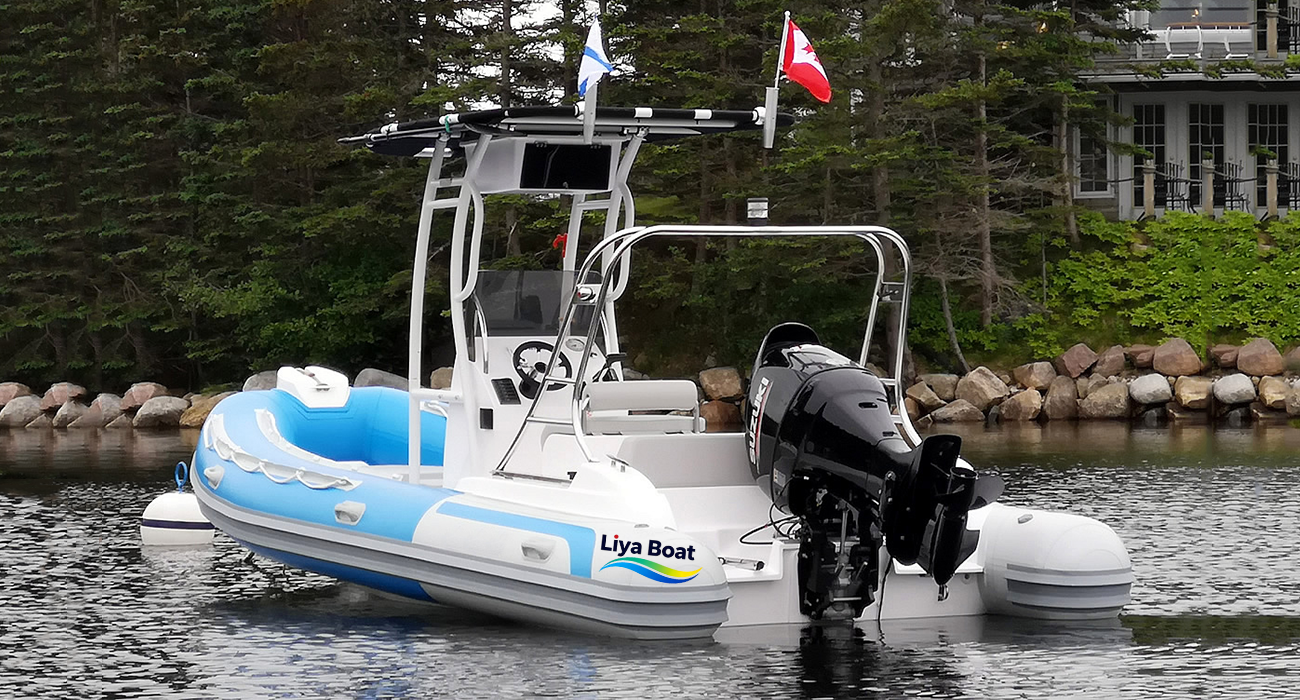 Bateau de pêche Liya RIB de 6,2 m/20 pieds pour 12 personnes, certifié CE, hors-bord 115-150HP