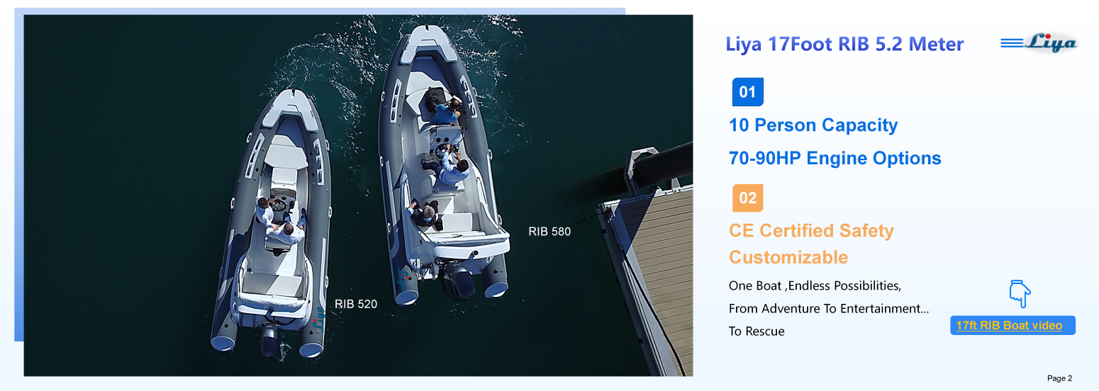 Console centrale de bateau semi-rigide Liya de 5,2 m pour la pêche et les loisirs 